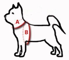Dingo Szelki Typu Step-In Z Taśmy Dla Psa Czerwone Rozmiar 40