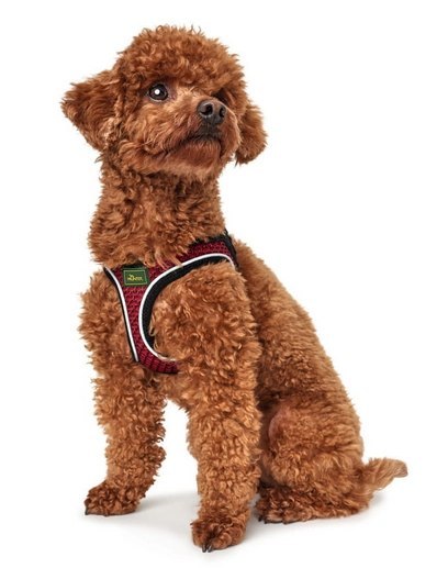 Hunter Hilo Comfort Szelki Dla Psa Czerwone Rozmiar XXS