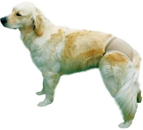 Trixie Majtki Ochronne Dla Suczki Rozmiar XL