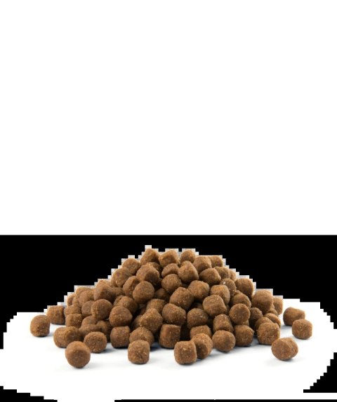 Versele-Laga Opti Life Puppy Medium Z Kurczakiem Dla Szczeniąt Średnich Ras 2,5kg