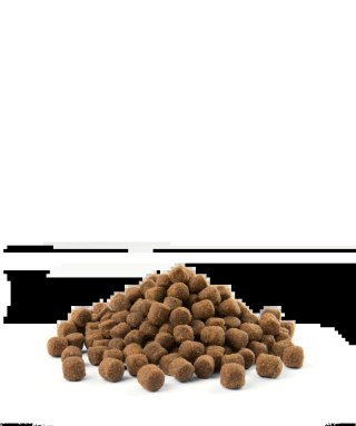 Versele-Laga Opti Life Senior Mini Z Kurczakiem Dla Małych Ras W Wieku Powyżej 7 Lat 2,5kg