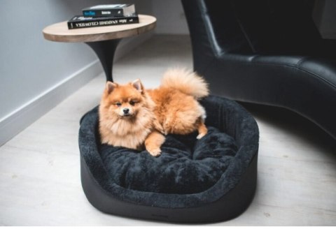 AMIPLAY Legowisko Elipsa Aspen Czarne M