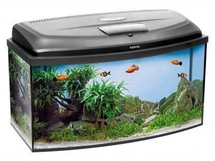 AQUAEL Zestaw Akwarystyczny Classic Box 60/O D&N