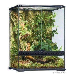 Exoterra Terrarium Szklane Small 45x45x60cm
