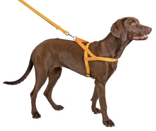 KERBL Szelki Odblaskowe Norwegian 52cm