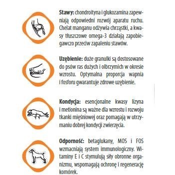 Eminent Maxi Junior 28/14 15kg