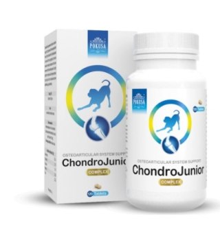 POKUSA ChondroLine ChondroJunior 120 tab.