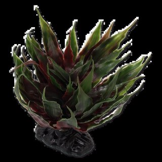REPTI PLANET Agawa Sukulent Zielony 18cm