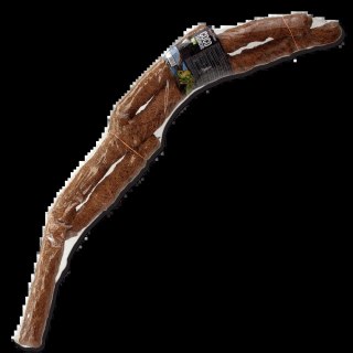 REPTI PLANET Gałąź Kokosowa 120cm