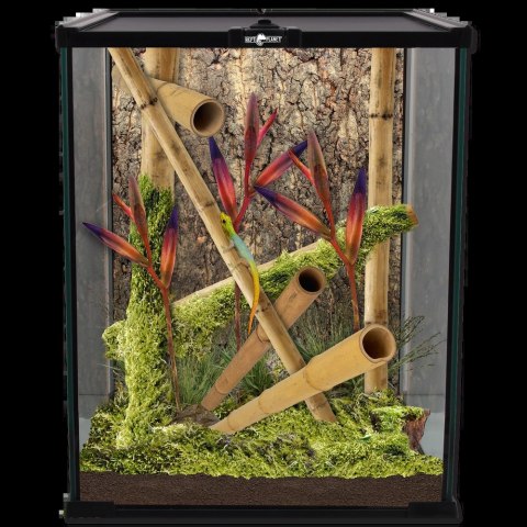 REPTI PLANET Terrarium Szklane 20x20x30cm