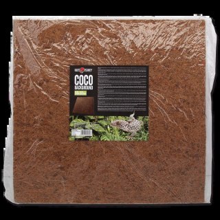 REPTI PLANET Tło Kokosowe Płaskie 50x50cm