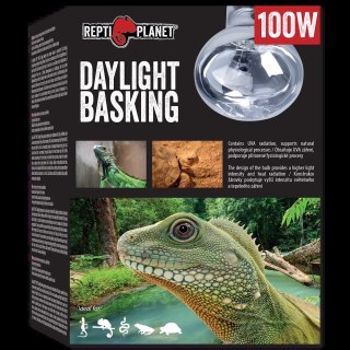 REPTI PLANET Żarówka Daylight Basking Spot 100W