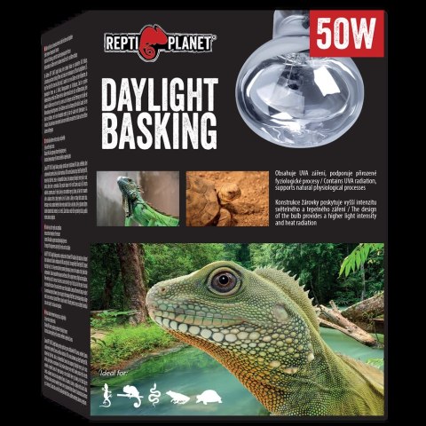 REPTI PLANET Żarówka Daylight Basking Spot 50W