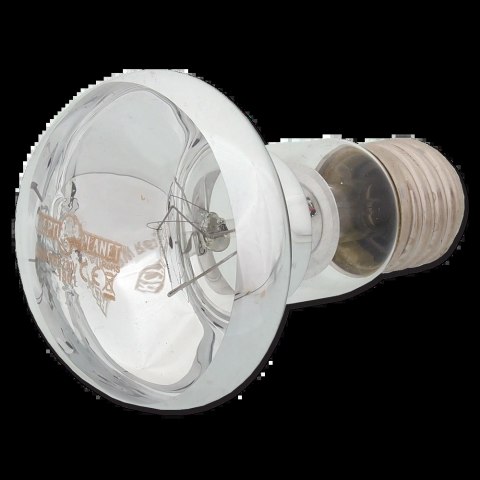 REPTI PLANET Żarówka Daylight Basking Spot 50W