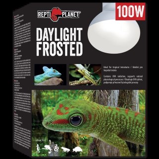 REPTI PLANET Żarówka Daylight Frosted 100W
