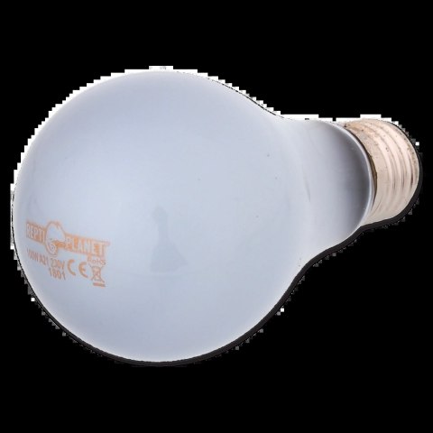 REPTI PLANET Żarówka Daylight Neodymium 100W