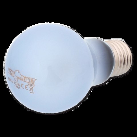 REPTI PLANET Żarówka Daylight Neodymium 50W