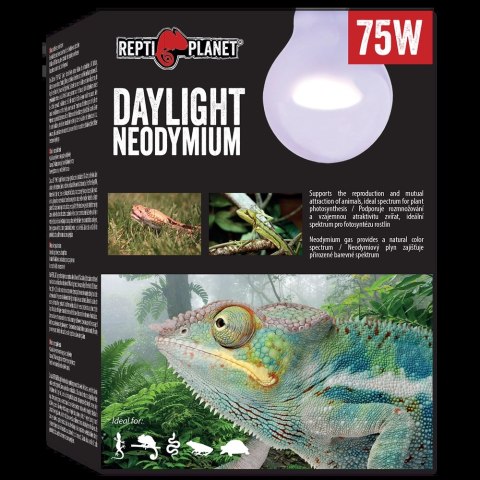 REPTI PLANET Żarówka Daylight Neodymium 75W