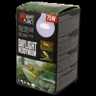 REPTI PLANET Żarówka Daylight Neodymium 75W
