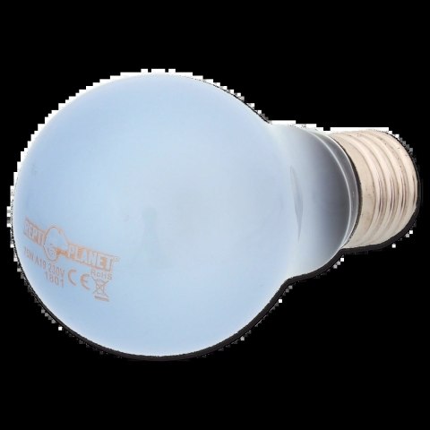 REPTI PLANET Żarówka Daylight Neodymium 75W