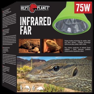 REPTI PLANET Żarówka Far Infrared HEAT 75W