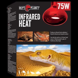 REPTI PLANET Żarówka Infrared HEAT 75W