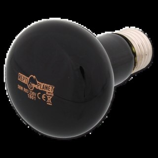 REPTI PLANET Żarówka Moonlight HEAT 50W