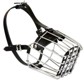 Dingo Kaganiec Metalowy Dla Psa Rozmiar 10