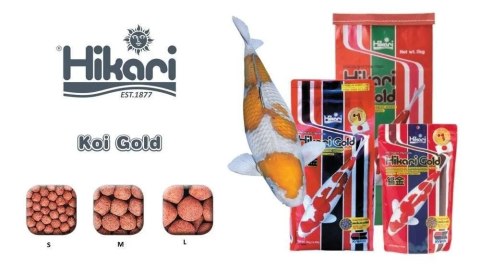 HIKARI Koi Gold M 500g