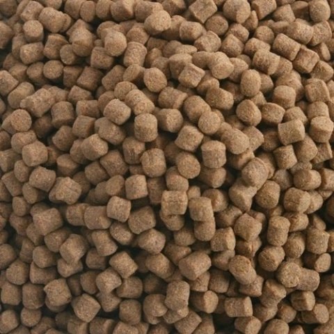 HIKARI Koi Wheat-Germ Formula M 15kg