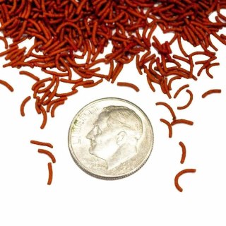 HIKARI Tropoical Vibra Bites 73g