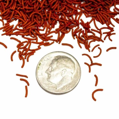 HIKARI Tropoical Vibra Bites 73g