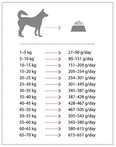 Nature's Protection Extra Salmon 12kg + 3kg