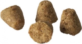 Oven Baked Tradition Cat Food Adults Of All Life Style With Fish 1,13kg