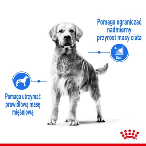 ROYAL CANIN CCN Medium Light Weight Care 12kg