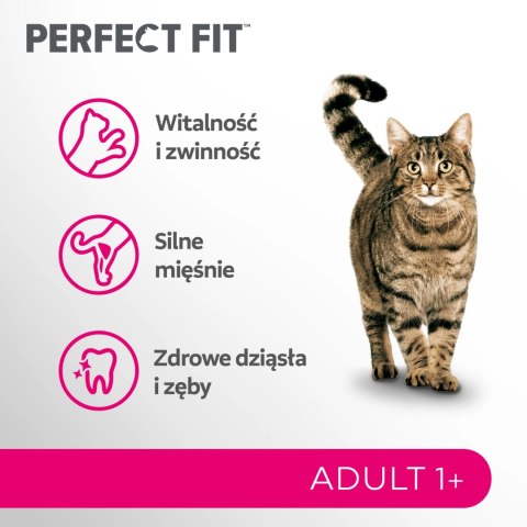 Perfect Fit™ - sucha karma pełnoporcjowa dla dorosłych kotów, bogata w wołowinę 7kg