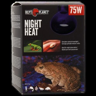 RP Żarówka Moonlight HEAT 75W