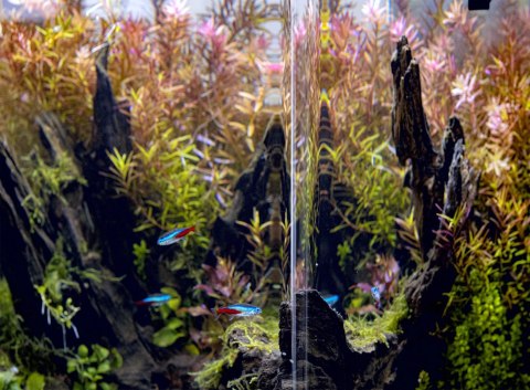 AQUAEL Zestaw Opti Bent Set Day & Night 20 Biały