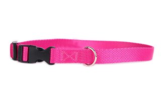 DogStuffs Obroża z plastikową klamrą 20mm/30-55cm różowa