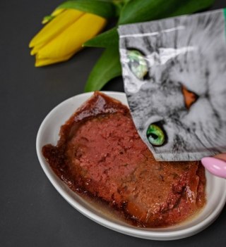 Josera Pate Łosoś Z Trawą Morską 80g