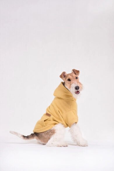 AMIPLAY Bluza Z Kapturem Texas Żółta 45cm