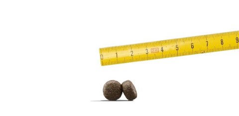 Josera Adult Light & Vital 12,5kg