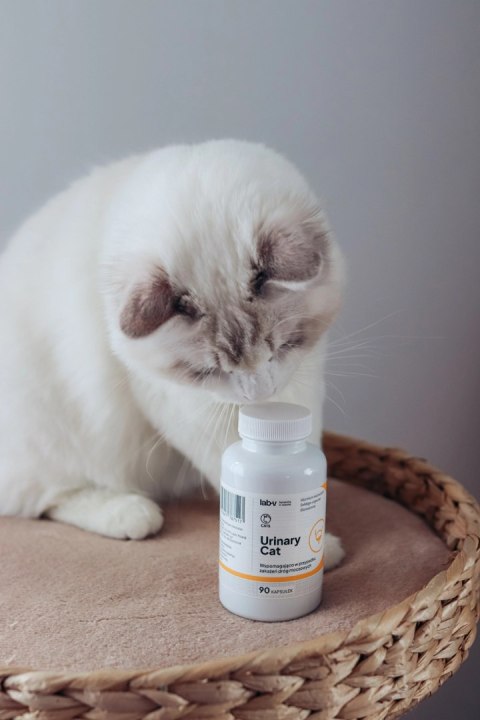 Lab-v Urinary Cat Wsparcie Układu Moczowego Dla Kotów 90 Kapsułek