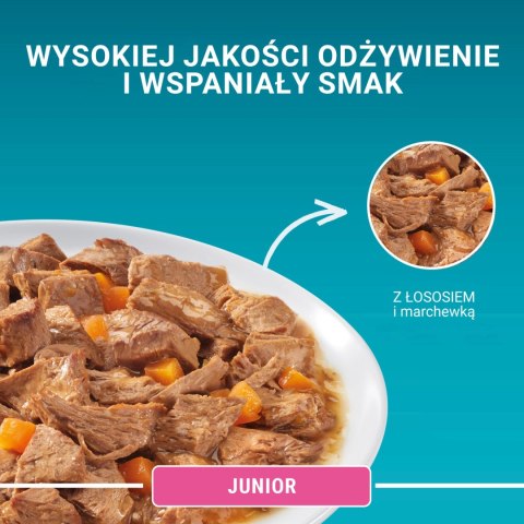 Purina One Junior Karma Dla Kociąt Z Łososiem I Marchewką 85g