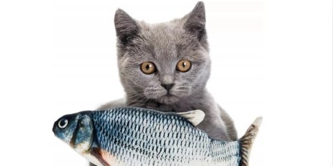 Zabawka Dla Kota Pluszowa Ryba Z Kocimiętką 21 Cm