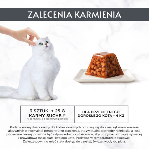 GOURMET Revelations Delikatne Kawałki w Galaretce z Kurczakiem 2x57g