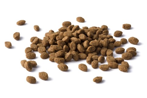 Purina Cat Chow Sterilised Bogata w Kurczaka 1,5kg + 2 Saszetki Gratis