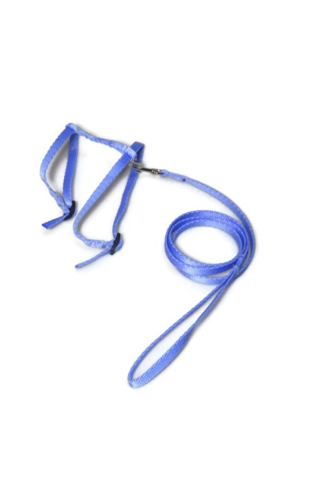 A-059 KOMPLET DLA KOTA V.2