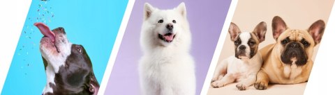 2Dog Cygara ZAJĄC 7 szt