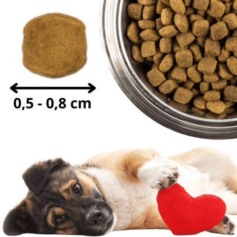 Kraina Radolin Dzik 10 kg rasy mniejsze i szczenięta karma sucha pieczona 65% mięsa dla alergików z nadwrażliwością pokarmową